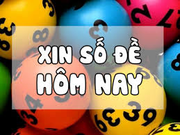 Cách Nuôi Lô 5 Ngày Không Bao Giờ Lỗ | [2019]