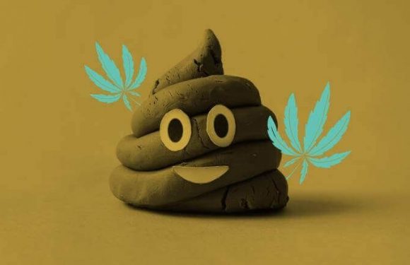 Mơ thấy cứt mang điềm báo gì? Đánh con gì đổi đời?