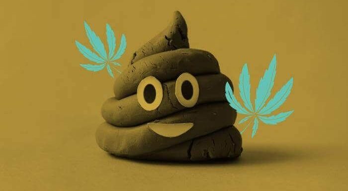 Mơ thấy cứt mang điềm báo gì? Đánh con gì đổi đời?