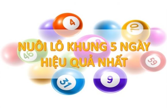 Cầu lô 5 ngày là gì? Kinh nghiệm nuôi lô khung 5 ngày