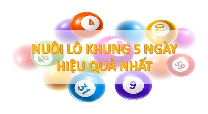 Cầu lô 5 ngày là gì? Kinh nghiệm nuôi lô khung 5 ngày