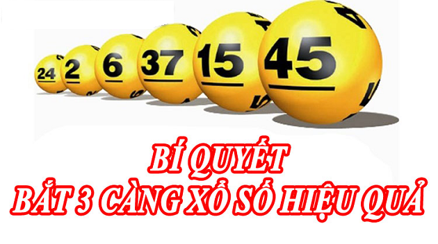 3 Càng là gì? 8 cách soi cầu 3 càng về bờ nhanh như gió