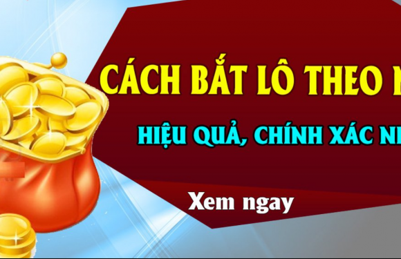 Cách bắt lô chuẩn theo ngày – Kinh nghiệm bắt lô theo ngày hiệu quả