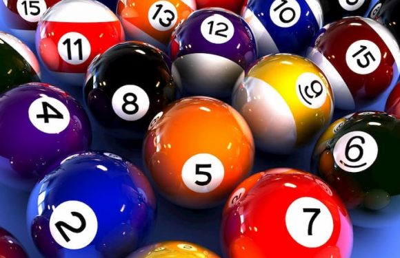 cách nuôi dàn đề đánh hàng ngày hiệu quả bạn nên biết
