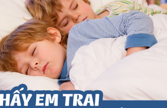 Mơ thấy em trai đánh con gì? Mơ anh trai đánh số gì?