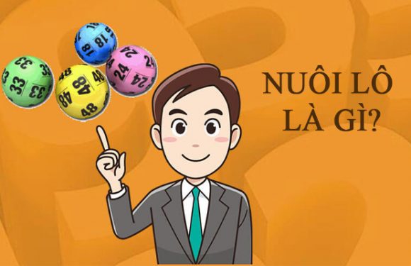 Cách bắt lô nuôi 3 ngày tuyệt đỉnh từ những cao thủ lô đề