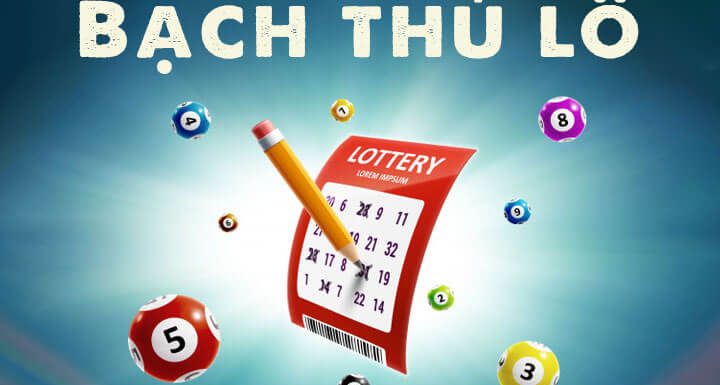 Phương pháp bắt lô bạch thủ hiệu quả và chính xác nhất