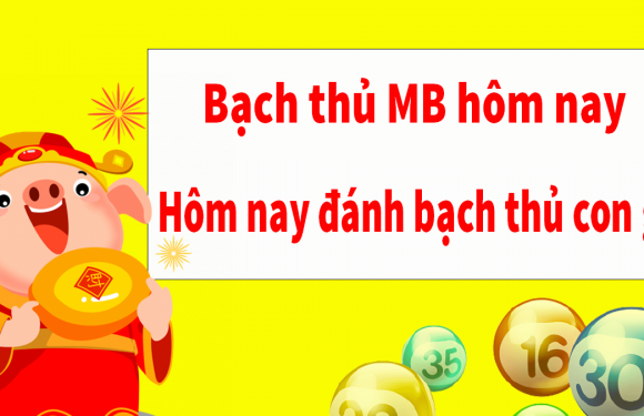 Bí kíp bắt bạch thủ đề chính xác
