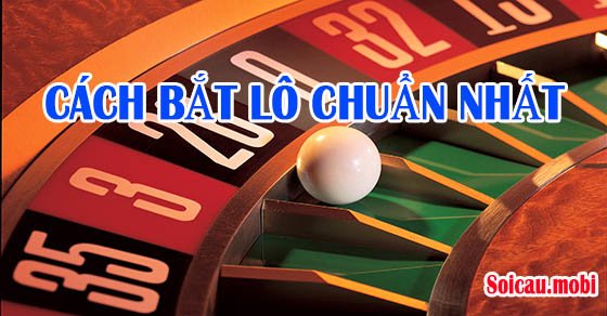 Cách Bắt Lô Đơn Giản Nhưng Hiệu Quả Từ Cao Thủ