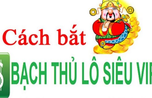 Soi cầu bạch thủ lô hôm nay Soi cầu lô bạch thủ 888 miền bắc