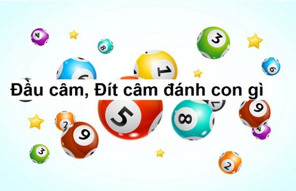 Khi đầu câm đít câm đánh con gì? Đầu lô câm đánh số này tiền về