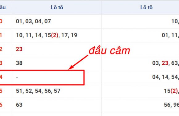 Đề báo kép là gì? Dấu hiệu và kinh nghiệm bắt đề về kép