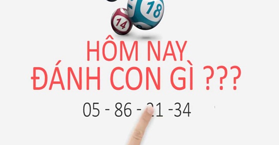 Cầu lô đẹp ngày hôm nay – Đánh lô con gì đẹp nhất sẽ về nhiều