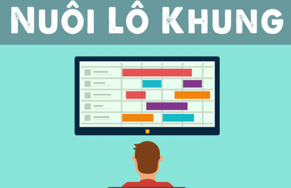 Hướng dẫn nuôi lô khung toàn tập với 6 cách chăn lô hiệu quả