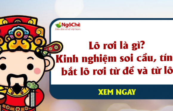 🍂Lô Rơi là gì?🍂 Kinh nghiệm bắt lô rơi nhẹ nhàng như lông hồng