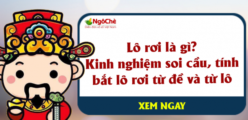 🍂Lô Rơi là gì?🍂 Kinh nghiệm bắt lô rơi nhẹ nhàng như lông hồng
