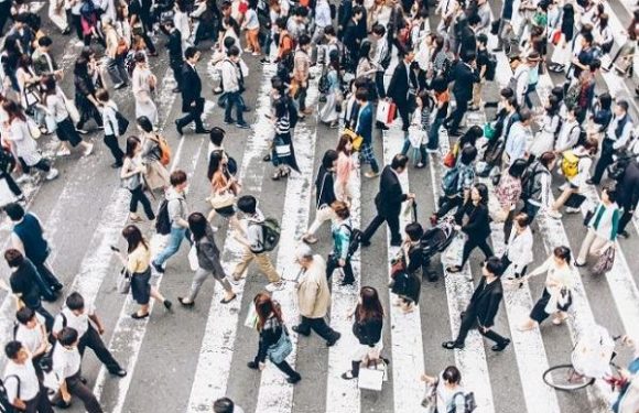 Mơ thấy nhiều người đánh con gì? Mơ thấy nhiều người lạ?