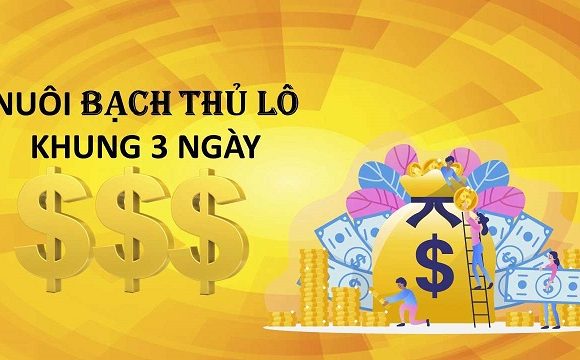 Cách nuôi bạch thủ lô khung 3 ngày hiệu quả nhất