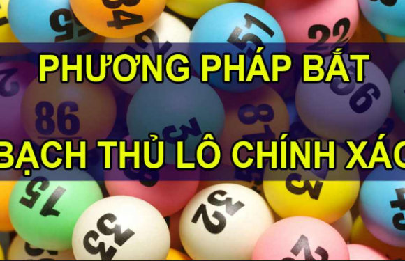 Bạch thủ lô là gì? 4 Cách bắt BTL chuẩn không cần chỉnh