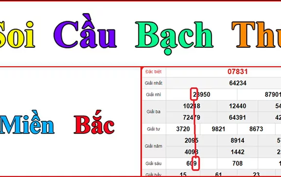bạch thủ lô hôm nay cực chuẩn