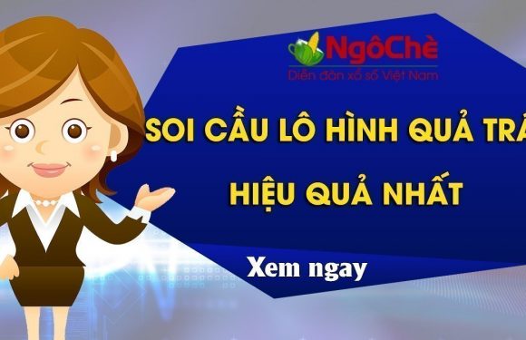 Cách soi cầu lô hình quả trám – Bí quyết hay bạn chưa biết