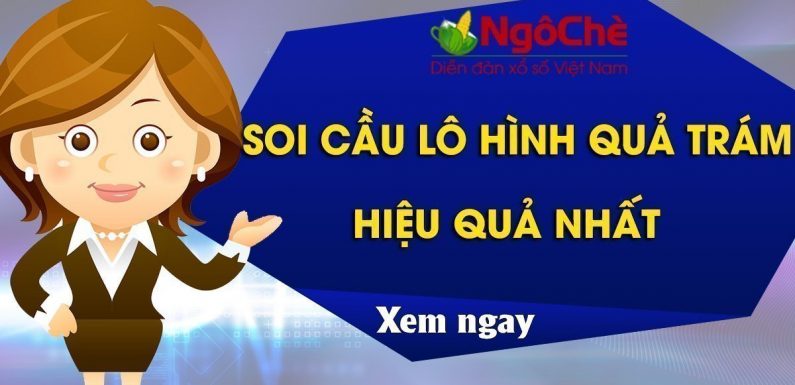 Cách soi cầu lô hình quả trám – Bí quyết hay bạn chưa biết