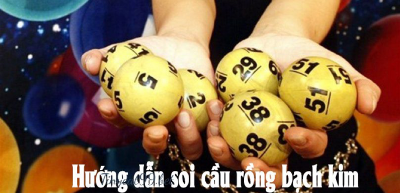 Hướng dẫn cách soi cầu rồng bạch kim