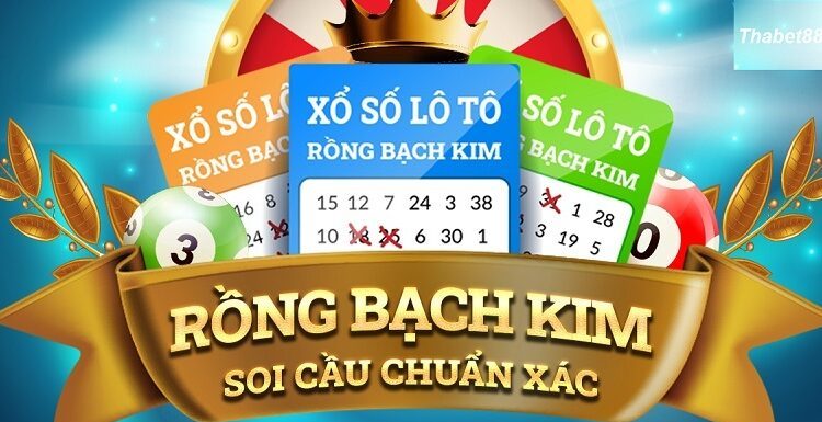 Rồng Bạch Kim Soi Cầu Chuẩn Xác Nhất